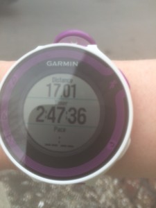 garmin